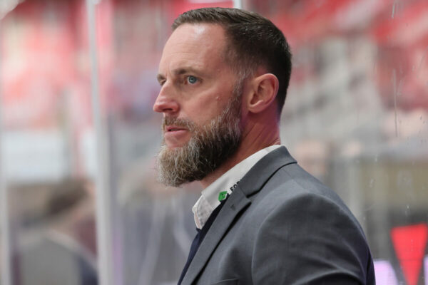 Del 2 Selber Wölfe Krefeld Pinguine, Eishockey Herren, Del2 Saison 2024/2025