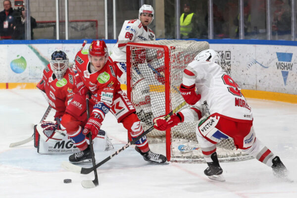Del 2 Selber Wölfe Eisbären Regensburg, Eishockey Herren, Del2 Saison 2024/2025