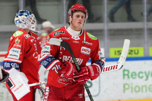 Del 2 Selber Wölfe Eisbären Regensburg, Eishockey Herren, Del2 Saison 2024/2025