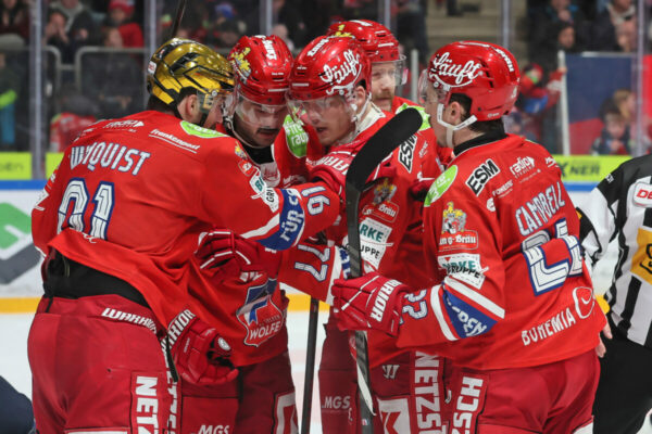Del 2 Selber Wölfe Blue Devils Weiden, Eishockey Herren, Del2 Saison 2024/2025