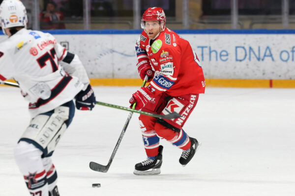 Del 2 Selber Wölfe Ravensburg Towerstars, Eishockey Herren, Del2 Saison 2024/2025