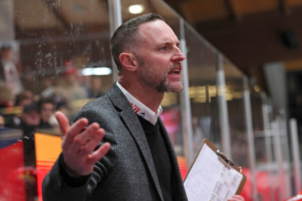 Del 2 Selber Wölfe Ravensburg Towerstars, Eishockey Herren, Del2 Saison 2024/2025