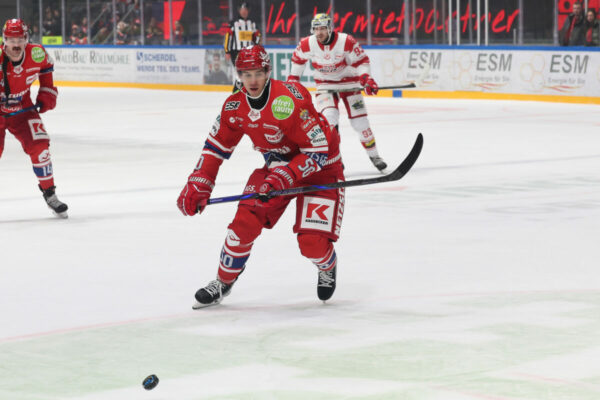 Del 2 Selber Wölfe Ec Bad Nauheim, Eishockey Herren, Del2 Saison 2024/2025