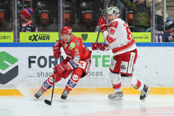 Del 2 Selber Wölfe Ec Bad Nauheim, Eishockey Herren, Del2 Saison 2024/2025