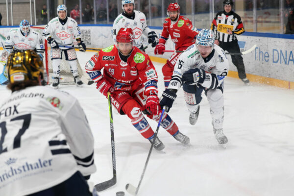 Del 2 Selber Wölfe Dresdner Eislöwen, Eishockey Herren, Del2 Saison 2024/2025