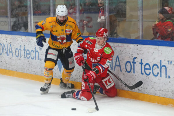 Del 2 Selber Wölfe Lausitzer Füchse, Eishockey Herren, Del2 Saison 2024/2025