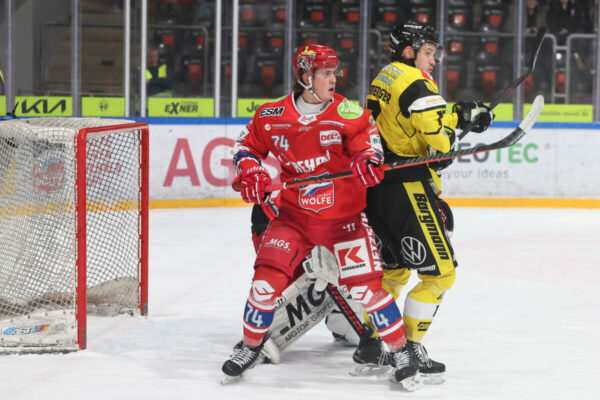Del 2 Selber Wölfe Krefeld Pinguine, Eishockey Herren, Del2 Saison 2024/2025