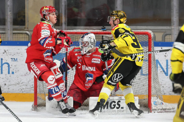 Del 2 Selber Wölfe Krefeld Pinguine, Eishockey Herren, Del2 Saison 2024/2025