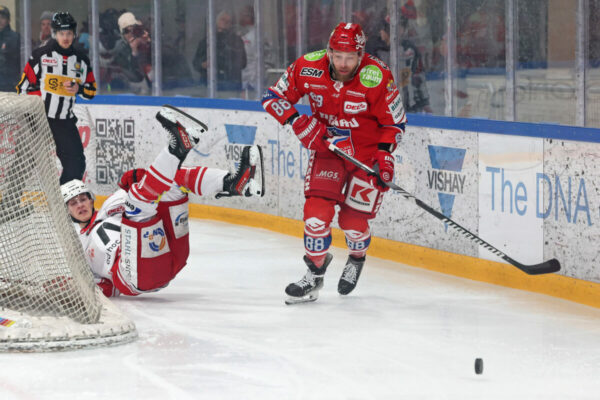 Del 2 Selber Wölfe Eispiraten Crimmitschau, Eishockey Herren, Del2 Saison 2024/2025