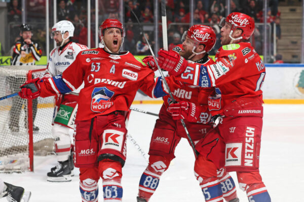 Del 2 Selber Wölfe Eisbären Regensburg, Eishockey Herren, Del2 Saison 2024/2025