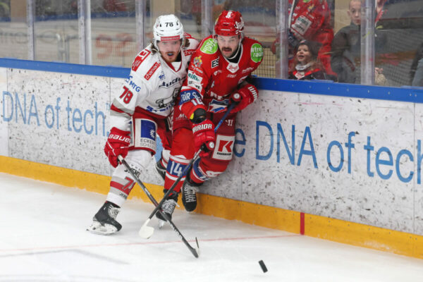 Del 2 Selber Wölfe Eisbären Regensburg, Eishockey Herren, Del2 Saison 2024/2025