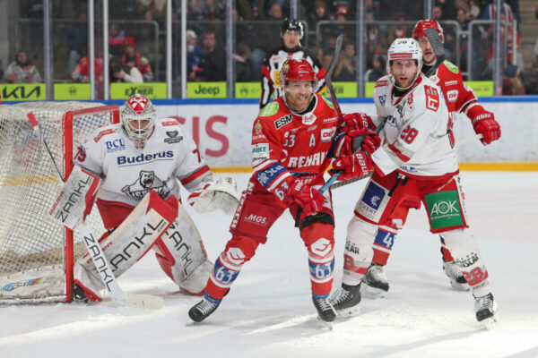 Del 2 Selber Wölfe Eisbären Regensburg, Eishockey Herren, Del2 Saison 2024/2025