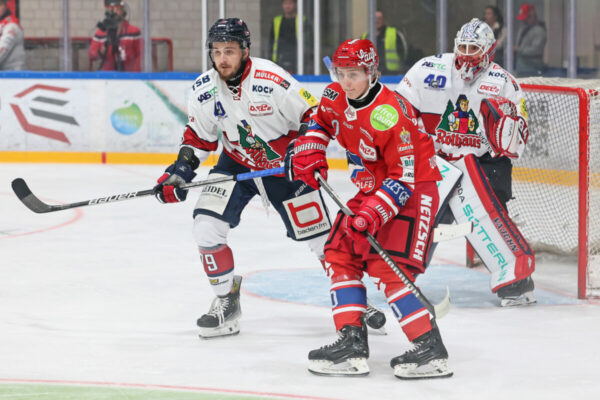 Del 2 Selber Wölfe Ehc Freiburg