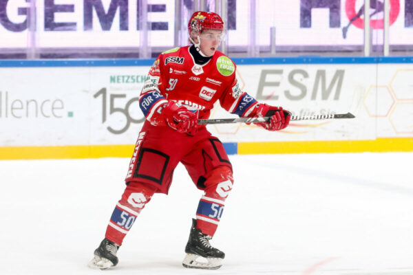 Del 2 Selber Wölfe Ehc Freiburg