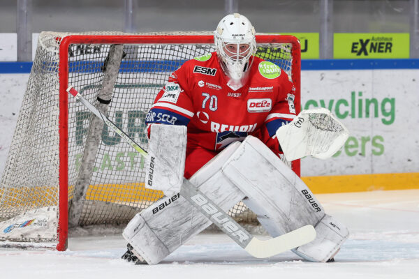 Del 2 Selber Wölfe Dresdner Eislöwen, Eishockey Herren, Del2 Saison 2024/2025