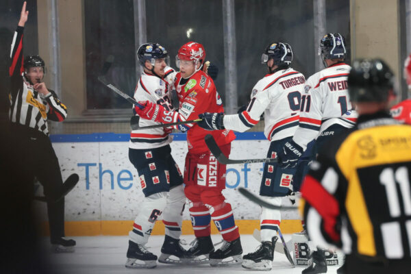 Del 2 Selber Wölfe Kassel Huskies, Eishockey Herren, Del2 Saison 2024/2025