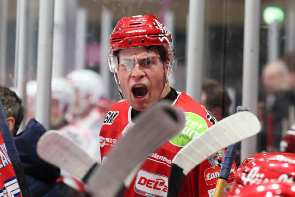 Del 2 Selber Wölfe Eisbären Regensburg, Eishockey Herren, Del2 Saison 2024/2025