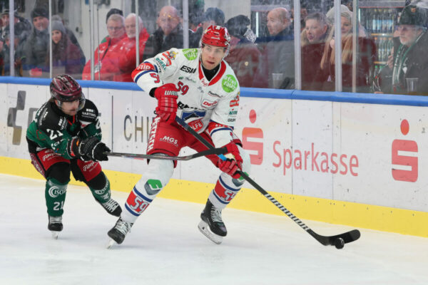 Del 2 Starbulls Rosenheim Selber Wölfe, Eishockey Herren, Del2 Saison 2024/2025