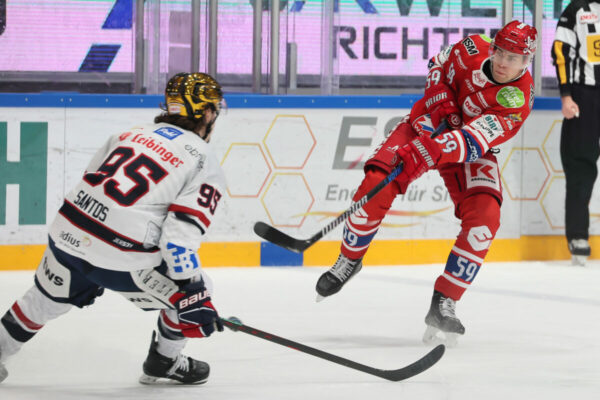 Del 2 Selber Wölfe Ravensburg Towerstars, Eishockey Herren, Del2 Saison 2024/2025