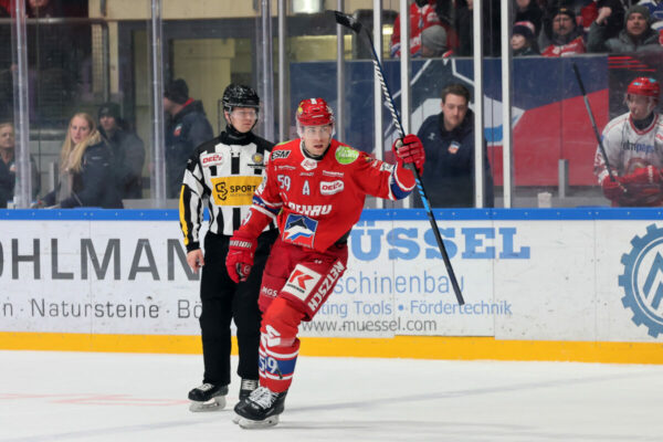 Del 2 Selber Wölfe Ev Landshut, Eishockey Herren, Del2 Saison 2024/2025
