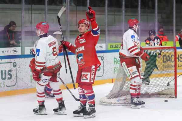 Del 2 Selber Wölfe Ev Landshut, Eishockey Herren, Del2 Saison 2024/2025