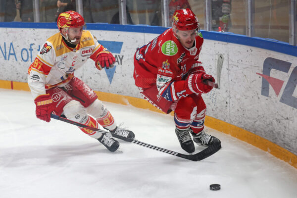 Del 2 Selber Wölfe Esv Kaufbeuren, Eishockey Herren, Del2 Saison 2024/2025