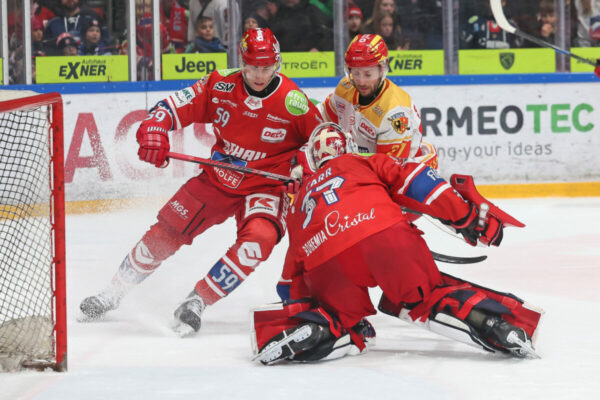 Del 2 Selber Wölfe Esv Kaufbeuren, Eishockey Herren, Del2 Saison 2024/2025