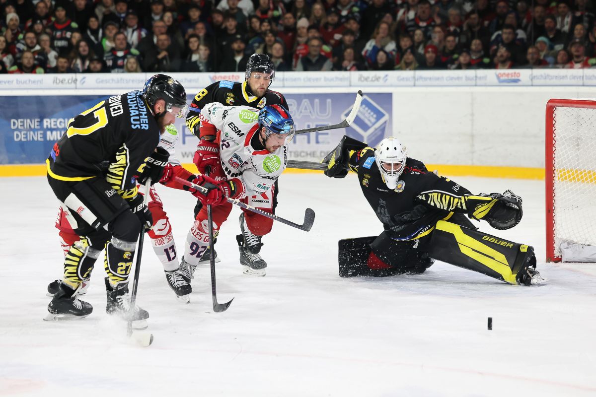 Wölfe dominieren das Derby