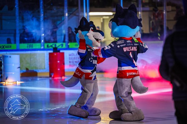 20251026 sel edg web 004