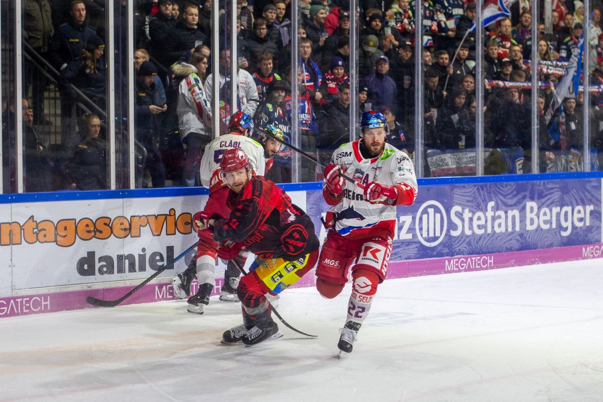 Wölfe entführen Punkt aus Deggendorf