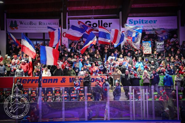 20251121 sel hnf web 001