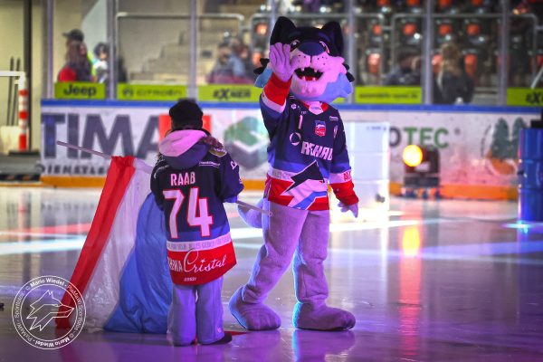 20251121 sel hnf web 002