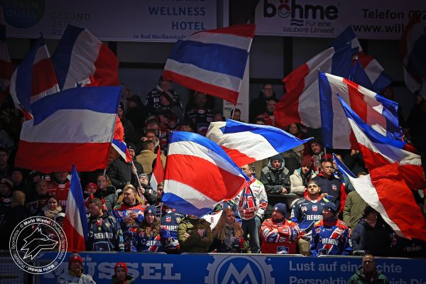 20251121 sel hnf web 003