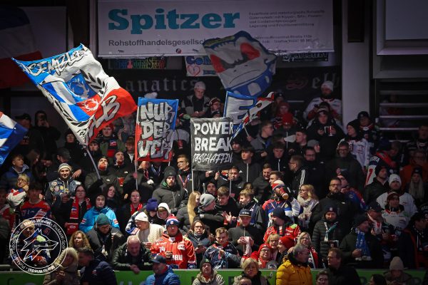 20251121 sel hnf web 004