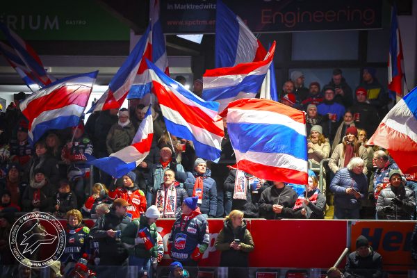 20251121 sel hnf web 005