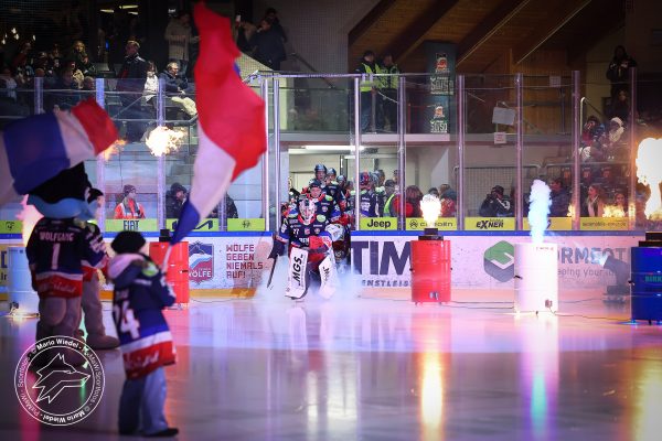 20251121 sel hnf web 006