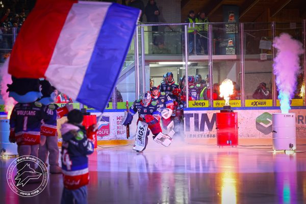 20251121 sel hnf web 007