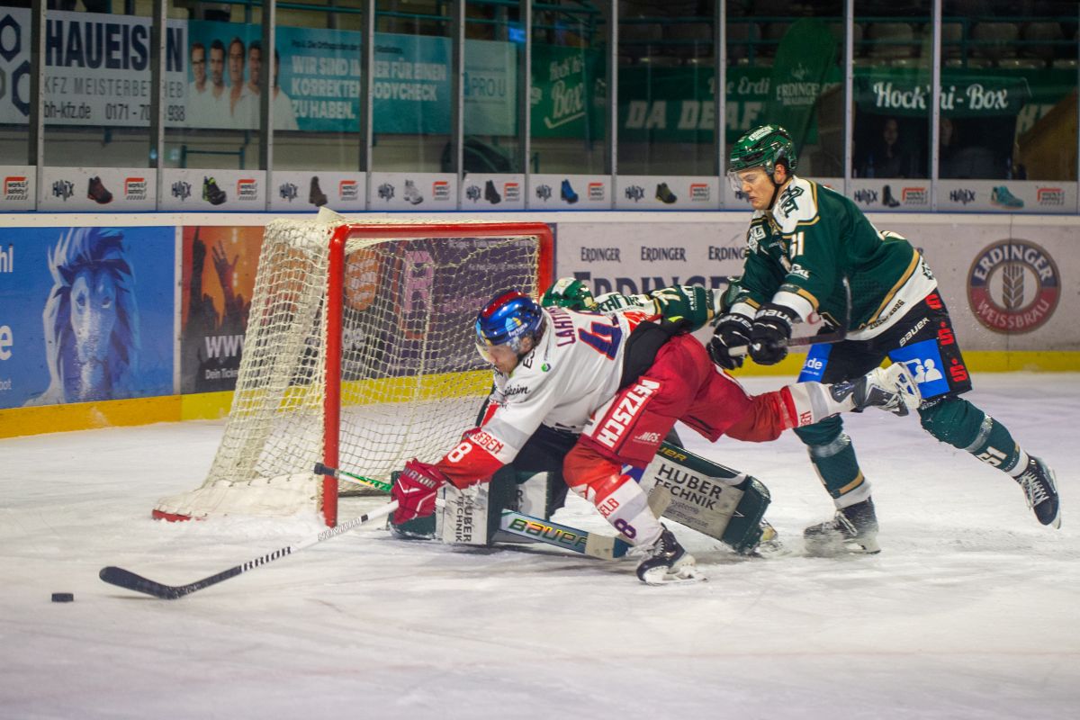 Wölfe verzweifeln an Zabolotny