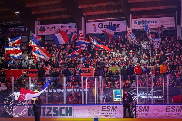 20251130 sel mem web 001