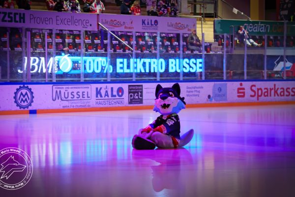 20251207 sel hec web 002