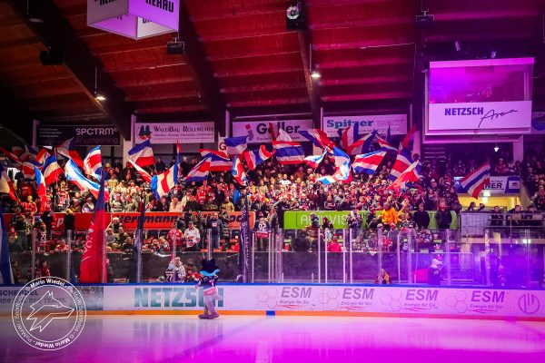 20251207 sel hec web 005