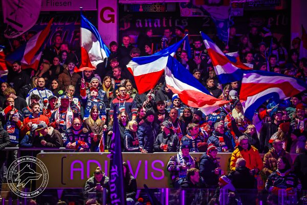 20251207 sel hec web 006