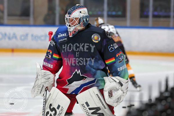 20251212 sel evf web 001