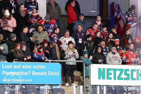 20251219 sel ecp web 004