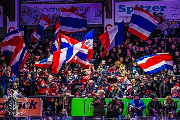 20251219 sel ecp web 010