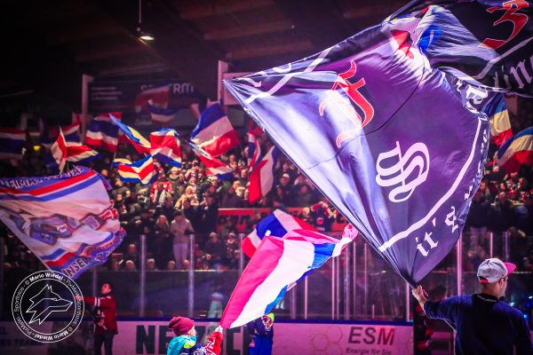 20251223 sel ect web 004