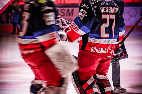 20251223 sel ect web 005