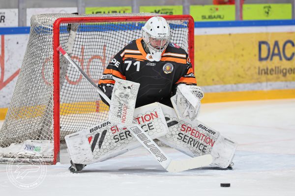 20251228 sel hec web 001