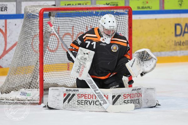 20251228 sel hec web 002