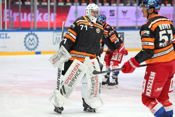 20251228 sel hec web 003